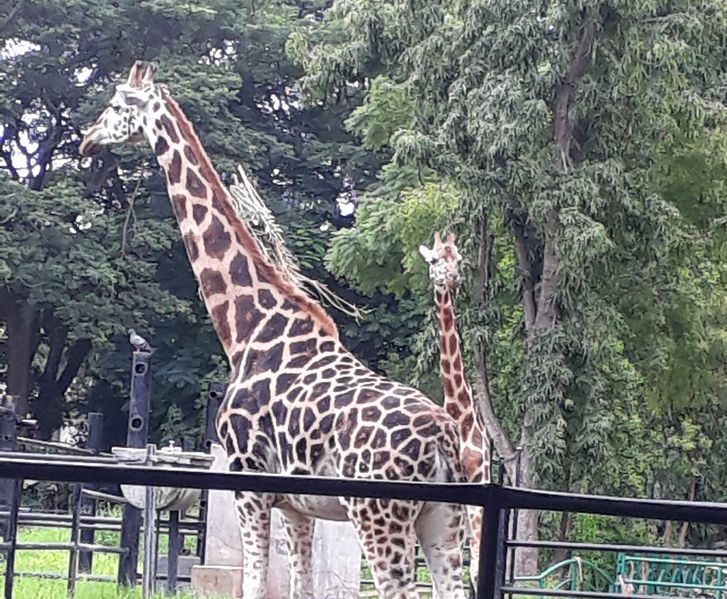 പ്രമാണം:Tour8 30014.jpg