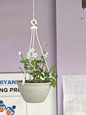 WhatsApp Image 2022-03-10 at 11.48.32 PM.jpg