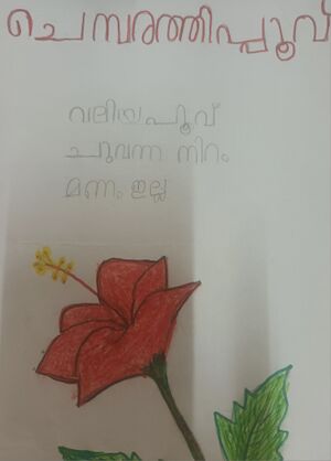 13917KNR-KUNJ-HAIIFA-1 C.jpg