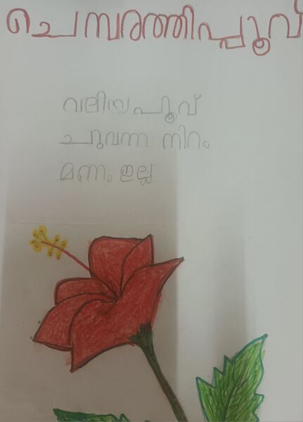 പ്രമാണം:13917KNR-KUNJ-HAIIFA-1 C.jpg