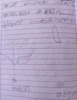 19070-MLP-KUNJ-MUHAMMED NIHAD.K.jpg