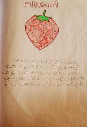 19865-MLP-KUNJ-AYISHA RLIBA IC.jpg