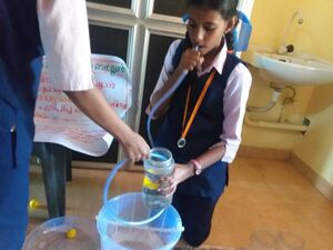 23019-tsr-work experience1-2025.jpg
