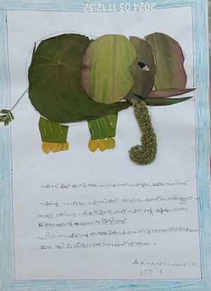 23528-TSR-AVANI SUMESH.jpeg