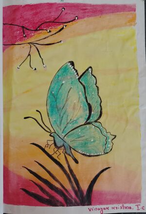 26259-EKM-KUNJ-Aaron Manu.jpeg