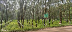 29020-near area.jpeg