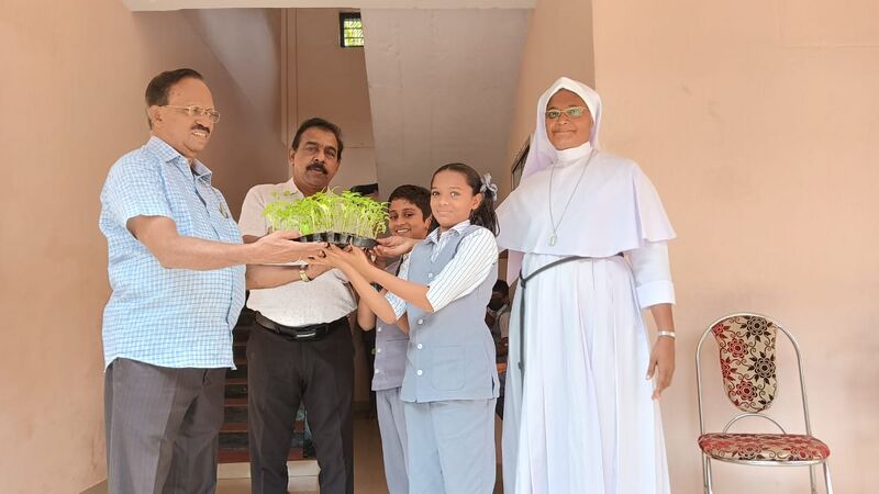 പ്രമാണം:34250-PLANTLETS DISTRIBUTION .jpg