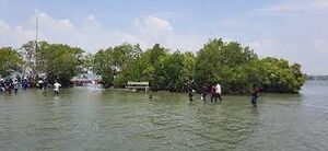 41055 Sambranikodi.jpeg