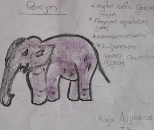 43117-TVM-KUNJ -RIYA ALPHONSE.jpg