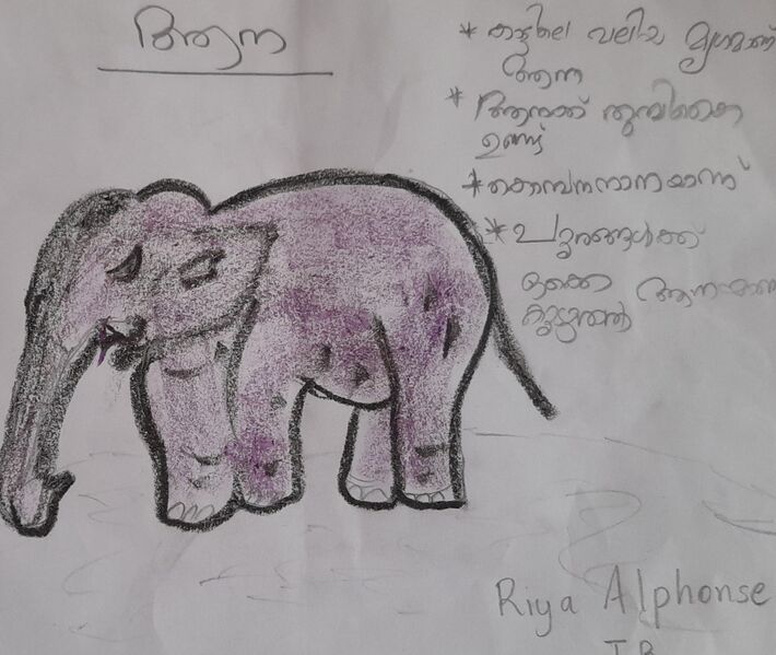 പ്രമാണം:43117-TVM-KUNJ -RIYA ALPHONSE.jpg