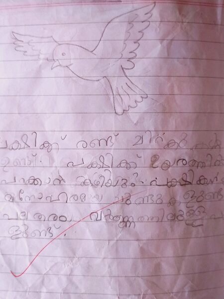 പ്രമാണം:45307-Aman Ali.jpg