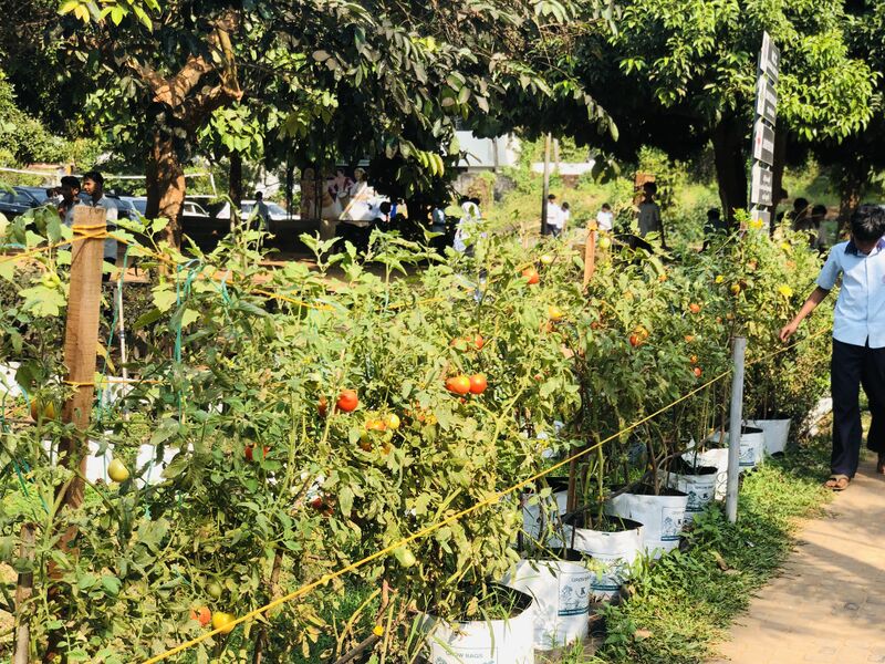 പ്രമാണം:48086 school pachakkarithottam 1.jpeg.jpeg