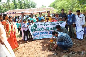 Environmental day 4.JPG