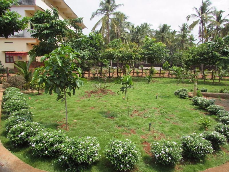 പ്രമാണം:Park 5 (1).jpg