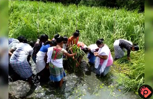 പാഠം ഒന്ന് പാഠത്തേക്ക്.png