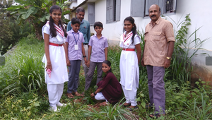 12070.birthday sapling 2.png