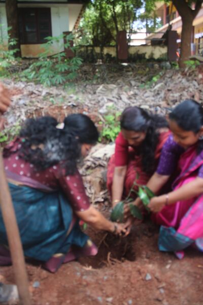 പ്രമാണം:14015Evn day1.JPG