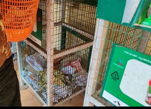 14871 2022 plastic disposal 4.jpeg