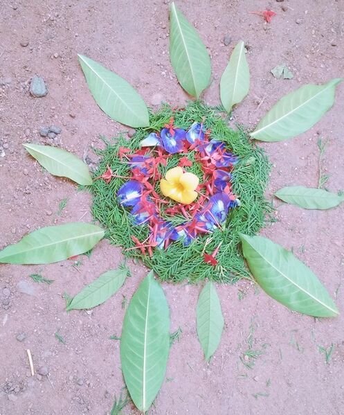 പ്രമാണം:16041-studentwork2.jpgl onamphoto.jpg