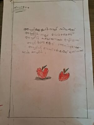 18205-MPM ADIDEV M.jpeg