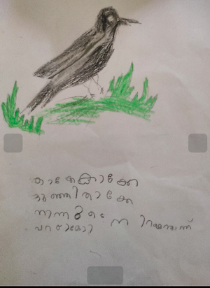 19605-MLP-KUNJ-MUHAMMED RASHDAN.png