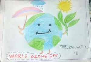 21706 ozone 2.jpeg