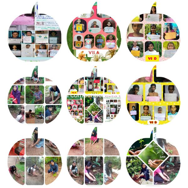 പ്രമാണം:24071 ENVIRONMENT DAY73.jpg