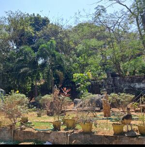 24305-Biodiversity Park 2.jpeg