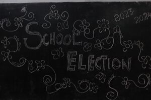 26014 EMGHS election.JPG