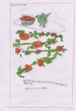 32423-KTM-KUNJ-ANUPAMA SAJAN.jpg