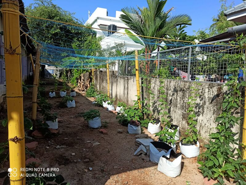 പ്രമാണം:35231 ECO3.jpg