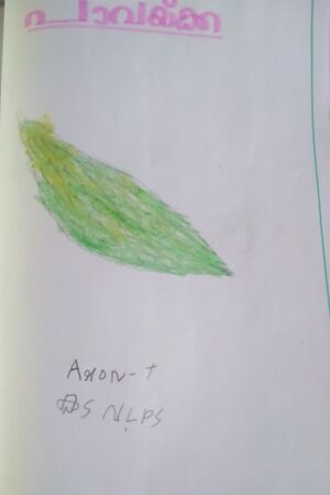 41415-KLM -KUNJ-AARON. T.jpg