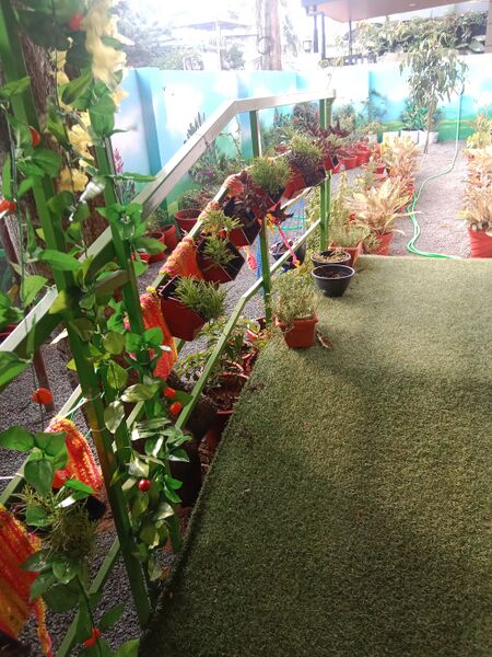 പ്രമാണം:43351 2025-26(98).jpg