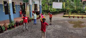 BS21 KNR 14533 1.jpg