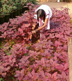 IMG 20170327 235446 509.JPG