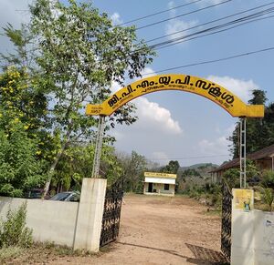 IMG 38256 190942.jpg