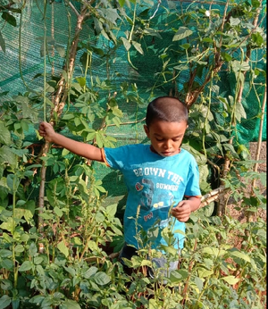 Screenshot from 2022-02-07 16-19-43.png