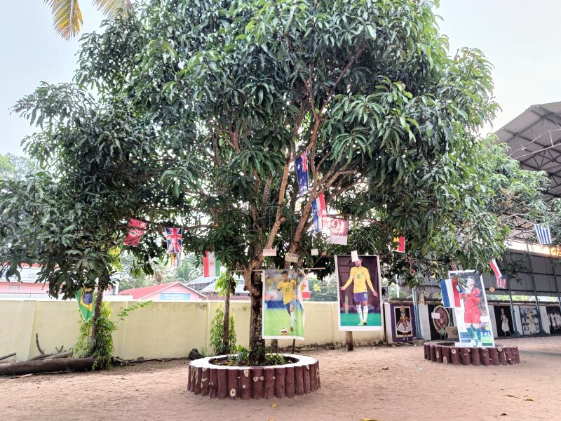 പ്രമാണം:Worldcuptree 35052 22 (2).jpg