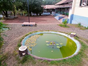 14759 hightech school lotus pond.jpg