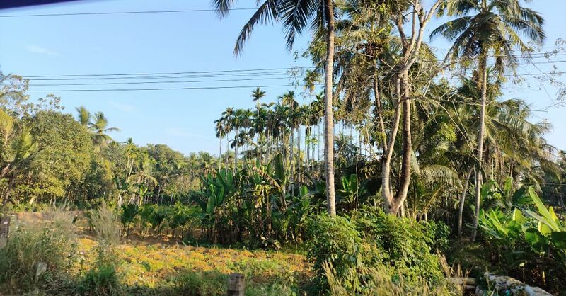 പ്രമാണം:18568 village field1.jpeg