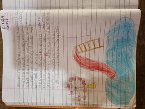 18610-MLP-MILAL K K.jpg