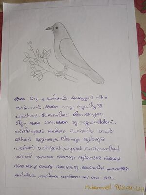 18669-MLP-KUNJ-MUHAMMED RISWAN.jpg