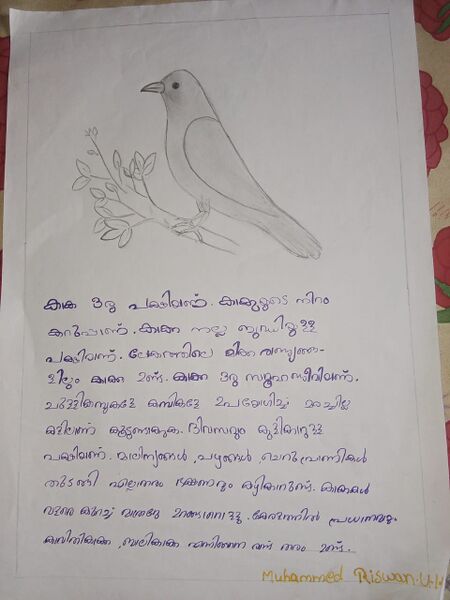 പ്രമാണം:18669-MLP-KUNJ-MUHAMMED RISWAN.jpg