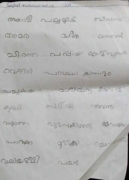 പ്രമാണം:19450-MLP-KUNJ-SANJAD MUHAMMED.jpeg