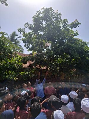 19874 natural day 1.jpg