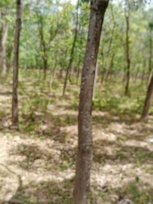 21068 ela fieldtrip4.jpeg