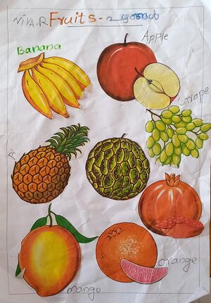 22674-TSR-KUNJ-NIYA R.jpg