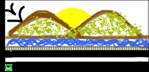 28012 LK 1920 299.jpeg