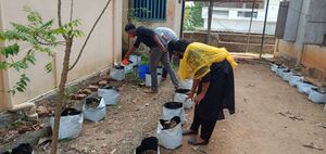 37001 pachakari3.jpeg