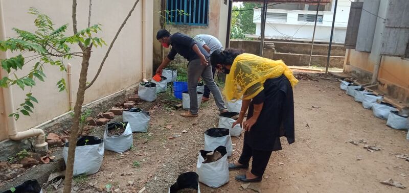 പ്രമാണം:37001 pachakari3.jpeg